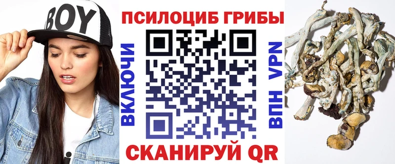 Псилоцибиновые грибы Psilocybine cubensis kraken ТОР Шлиссельбург